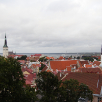 A view of Tallinn city from the top of a hill.