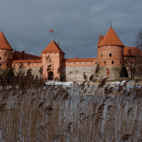 A majestic medieval castle with red-tiled towers stands resilient amidst a winter landscape, its ancient walls casting a solemn silhouette against a cloudy sky, as the surrounding dormant reeds gently sway in the foreb