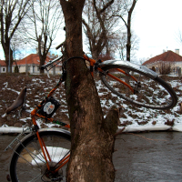 An orange bicycle in Vilnius appears to be swallowed by a tree trunk, with its frame partially embedded; both rest beside a waterway, under a cloudy sky.