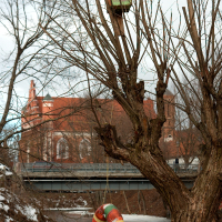 A lifebuoy hangs on a bare tree by a river in Vilnius, with a birdhouse perched above, against a backdrop of a bridge and red-brick building, signaling safety measures