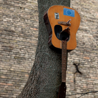 An abandoned acoustic guitar, with a missing string and adorned with a blue sticker, leans forlornly against a rough tree trunk in Vilnius, contrasting with the blurred brick wall in the background
