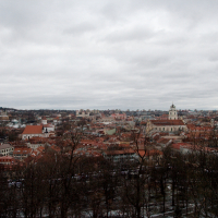 An overcast sky blankets an expansive view of Vilnius, with aged buildings punctuating the skyline and barren trees signaling the chill of winter.