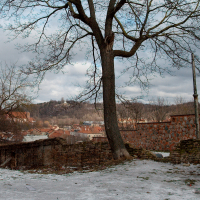 Bare branches against a winter sky overlook remnants of old stone walls and a dusting of snow, with a view of distant homes in Vilnius, a tranquil, historic town.