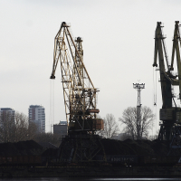Two Voleri cranes in the water.