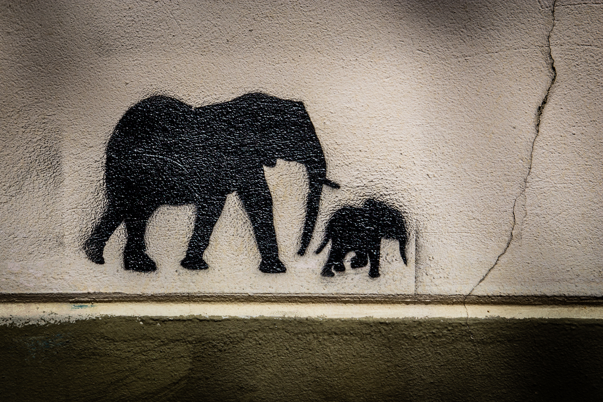 Elephants Graffiti Via @Atisgailis