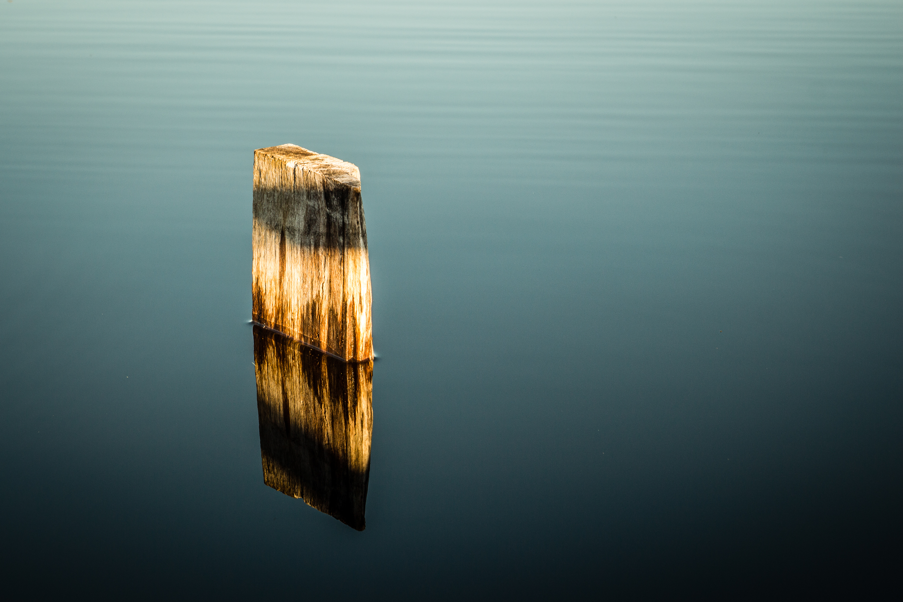 Plank In The Pond Via @Atisgailis