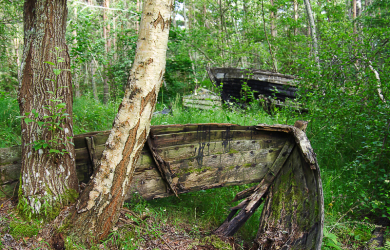 An Aged Boat Nestled In A Forested Expanse.