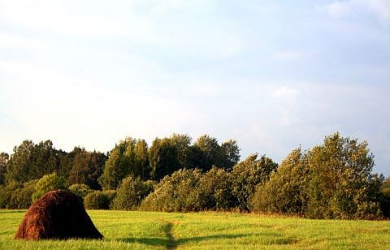 Countryside Of Latvia (Kurzeme)