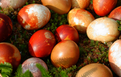 Colored Easter Eggs On Mossy Ground.
