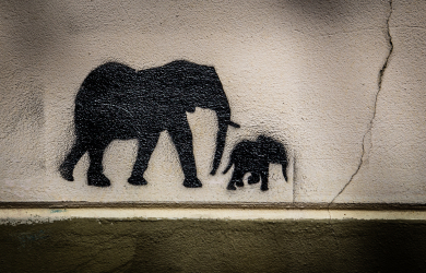 Elephants Graffiti