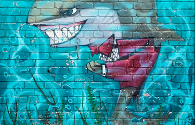 Evil Shark Graffiti