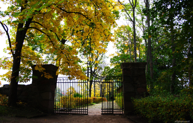 A Gate Leading To A Park.