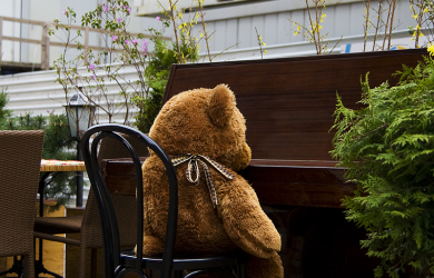 A Maestro Teddy Bear Sitting On A Chair Next To A Piano.
