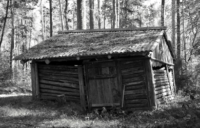 An Old Wooden Hut In The Woods.