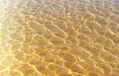 A Close Up Of The Water On The Baltic Sea Beach.