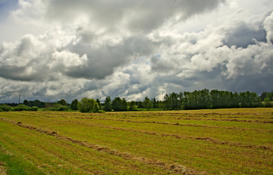 A Countryside Field With Hay Bales Under A Cloudy Summer Sky.