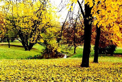 Autumn via @atisgailis