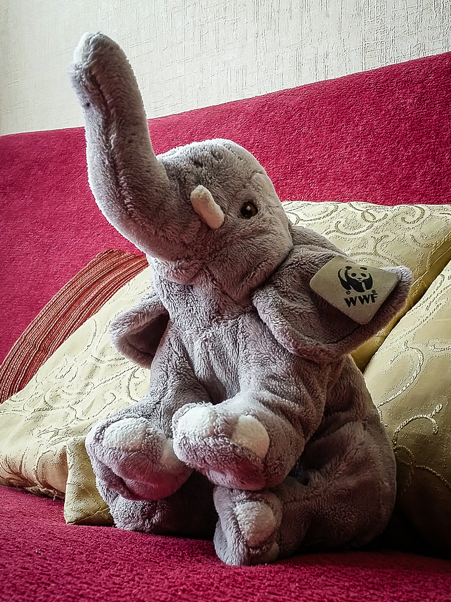 Elephant On Sofa Via @Atisgailis
